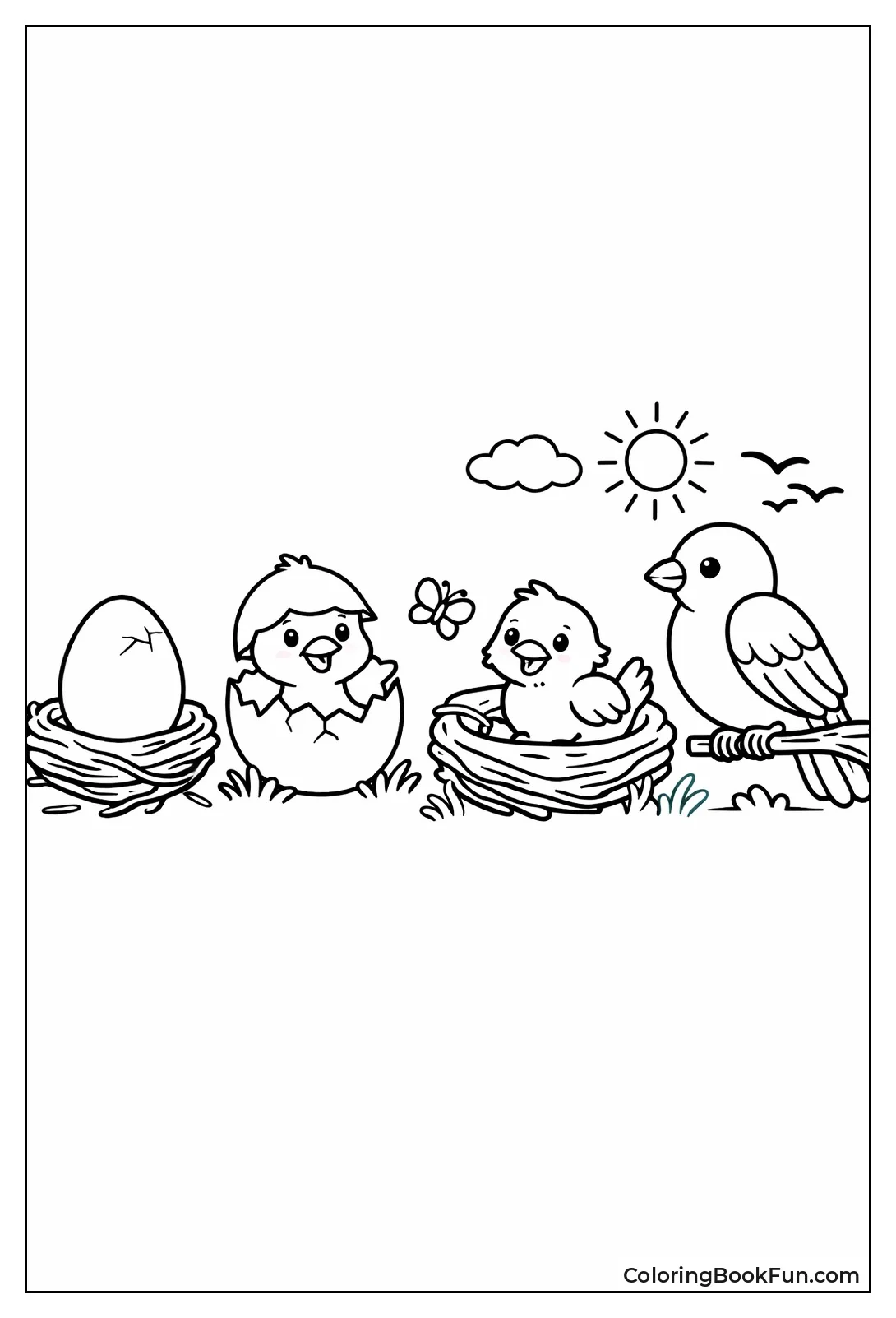 Bird Life Cycle Stages