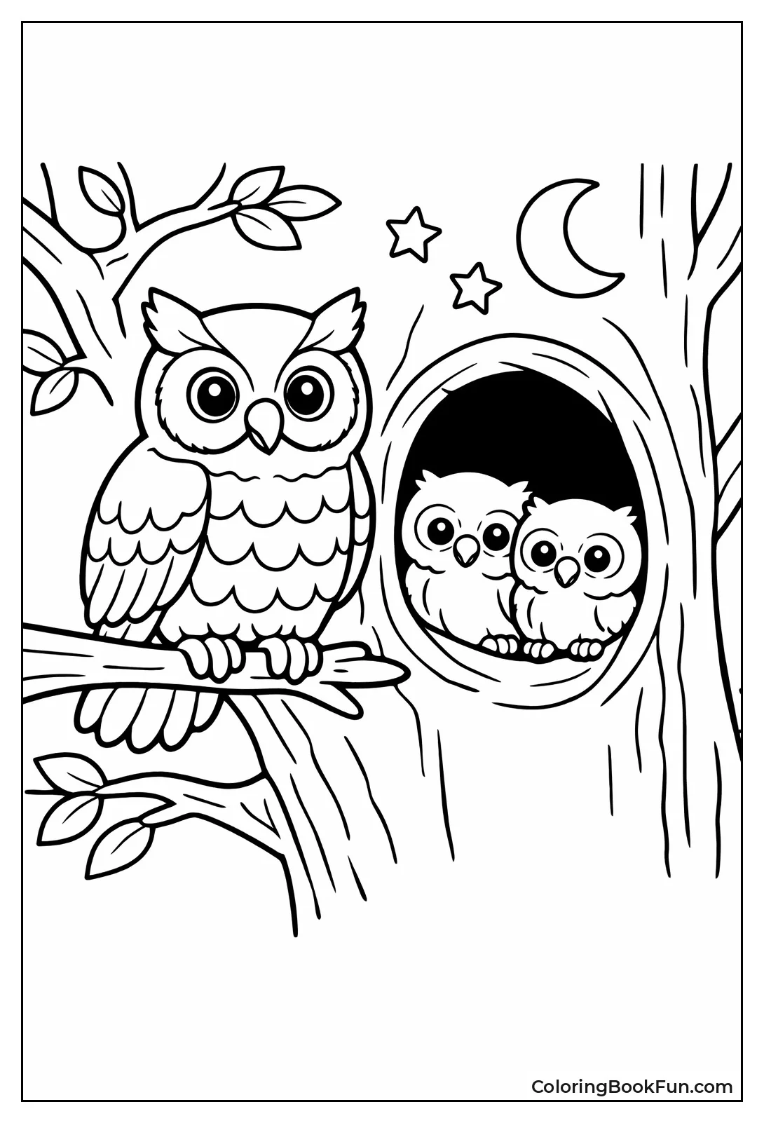Owl Family in Nest