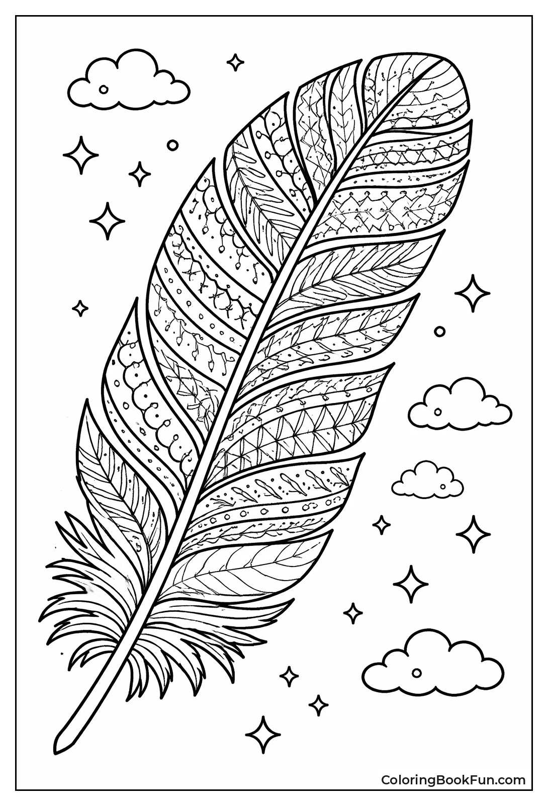 Patterned Eagle Feather Close-Up