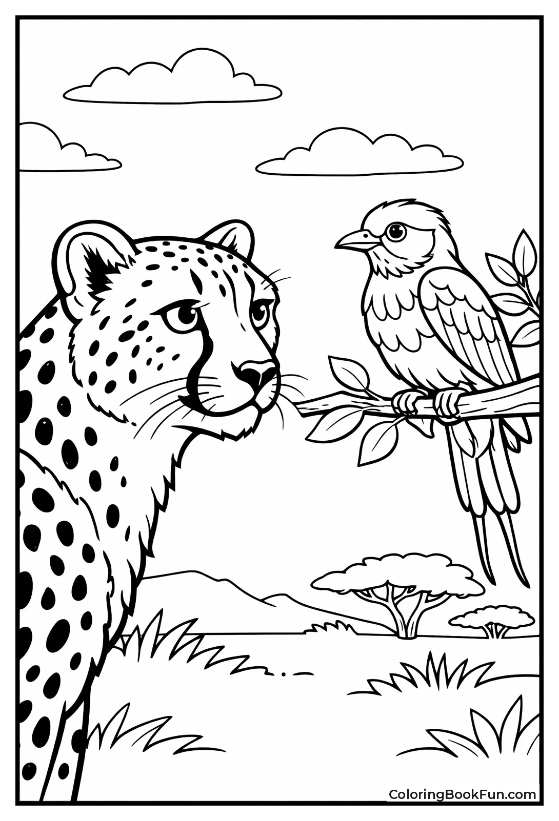 Cheetah Watching Colorful Bird