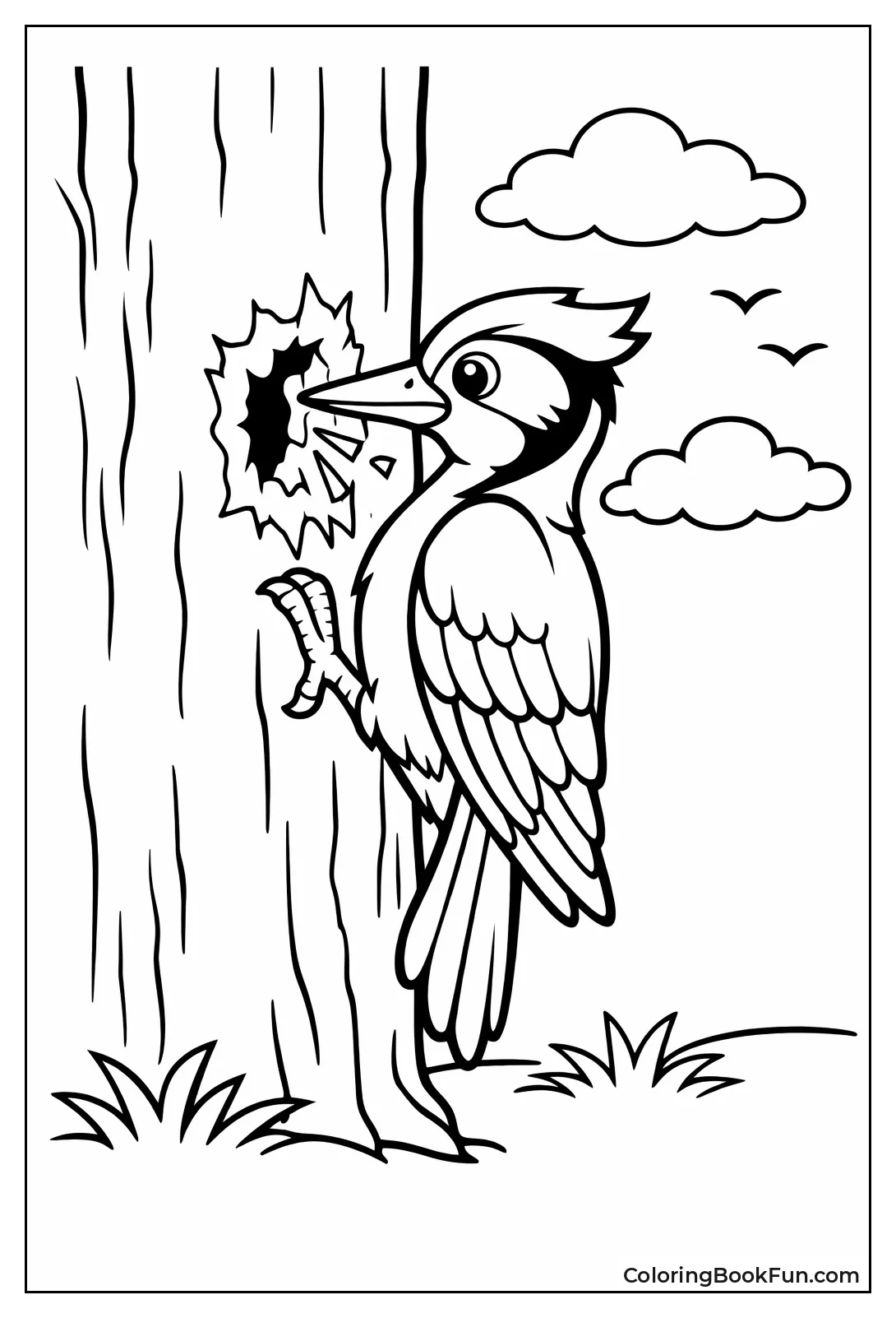 Woodpecker Pecks Tree Bark