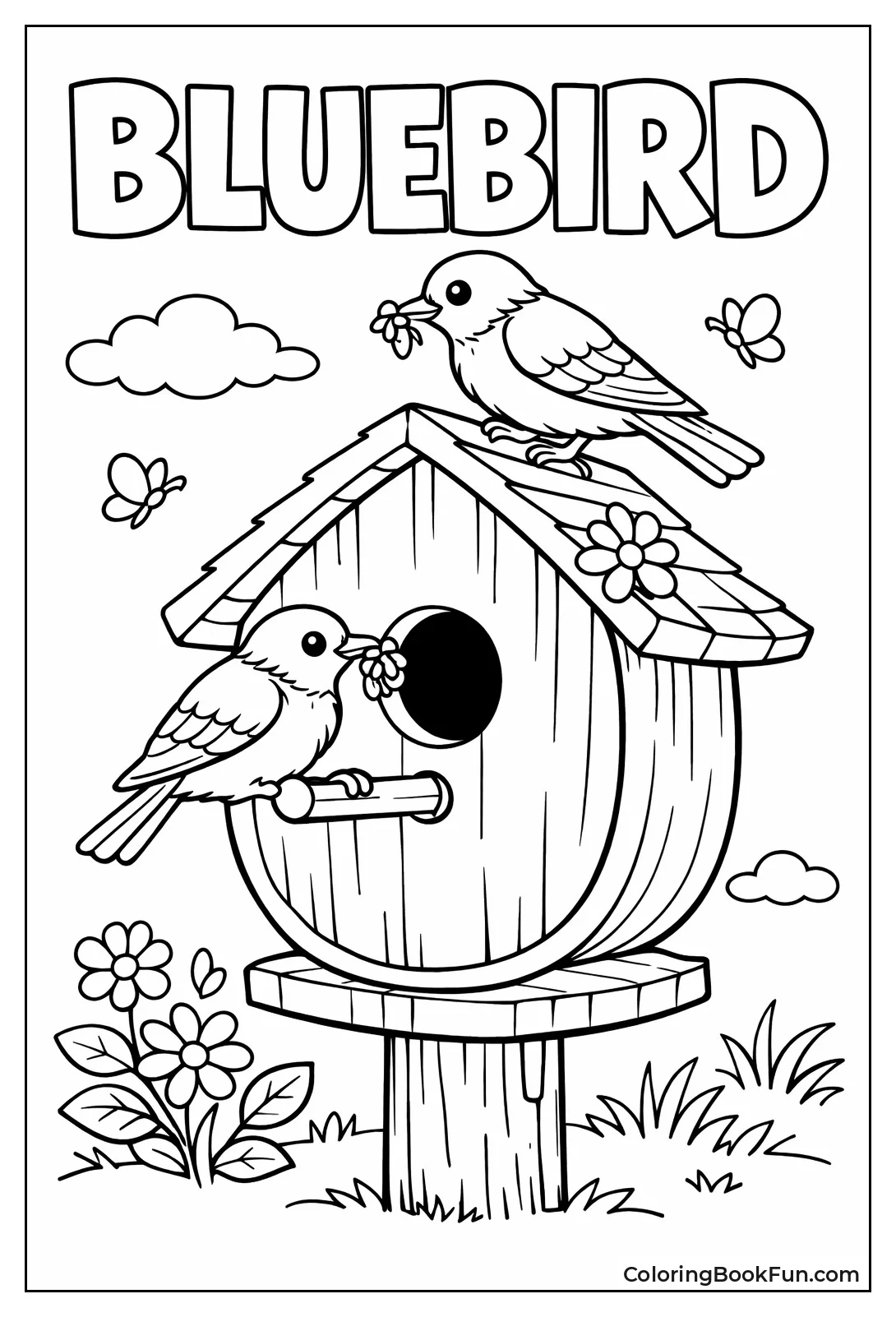 Bluebirds Perch on Nest Box