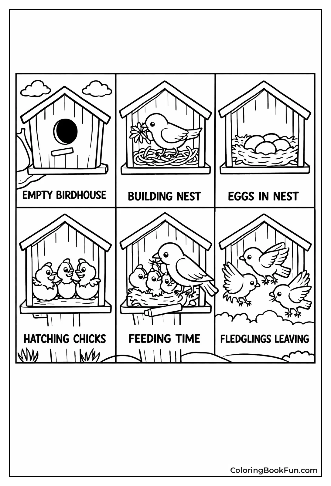 Birdhouse Shows Life Stages