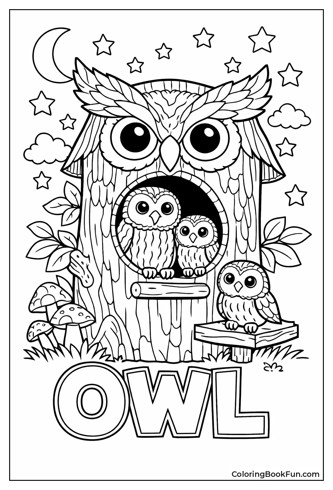 Owls Nest in Tree Hole