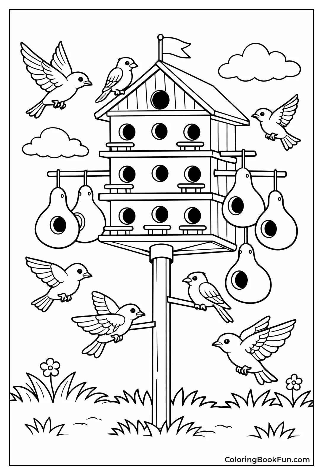 Martins Fly around Apartments