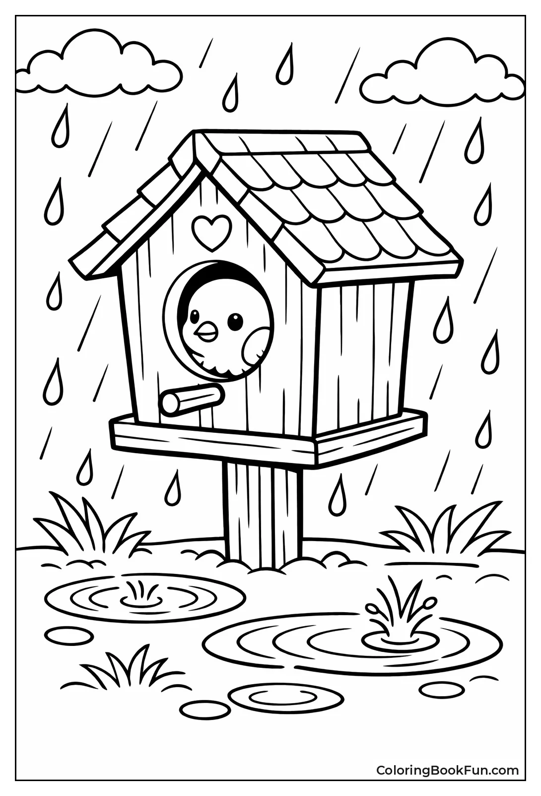 Rainy Birdhouse Bird Peers