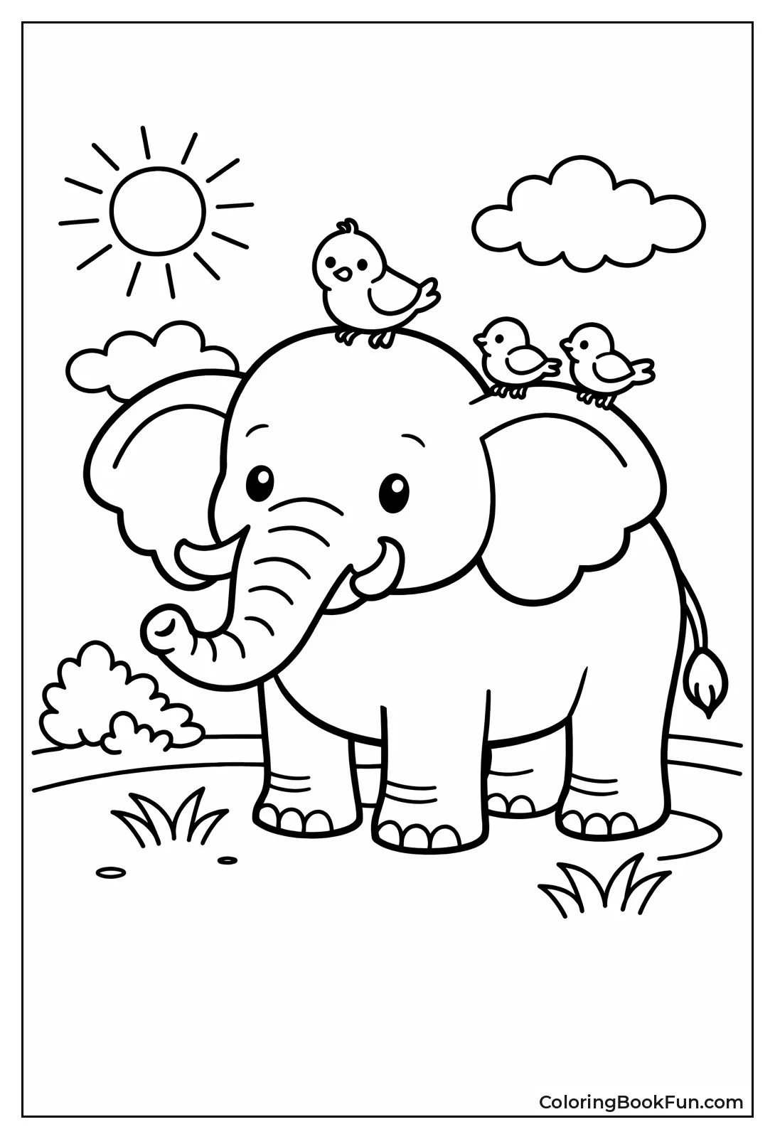 Birds Perch on Elephant