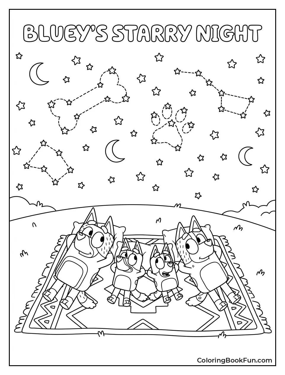 Heelers Gazing at Stars