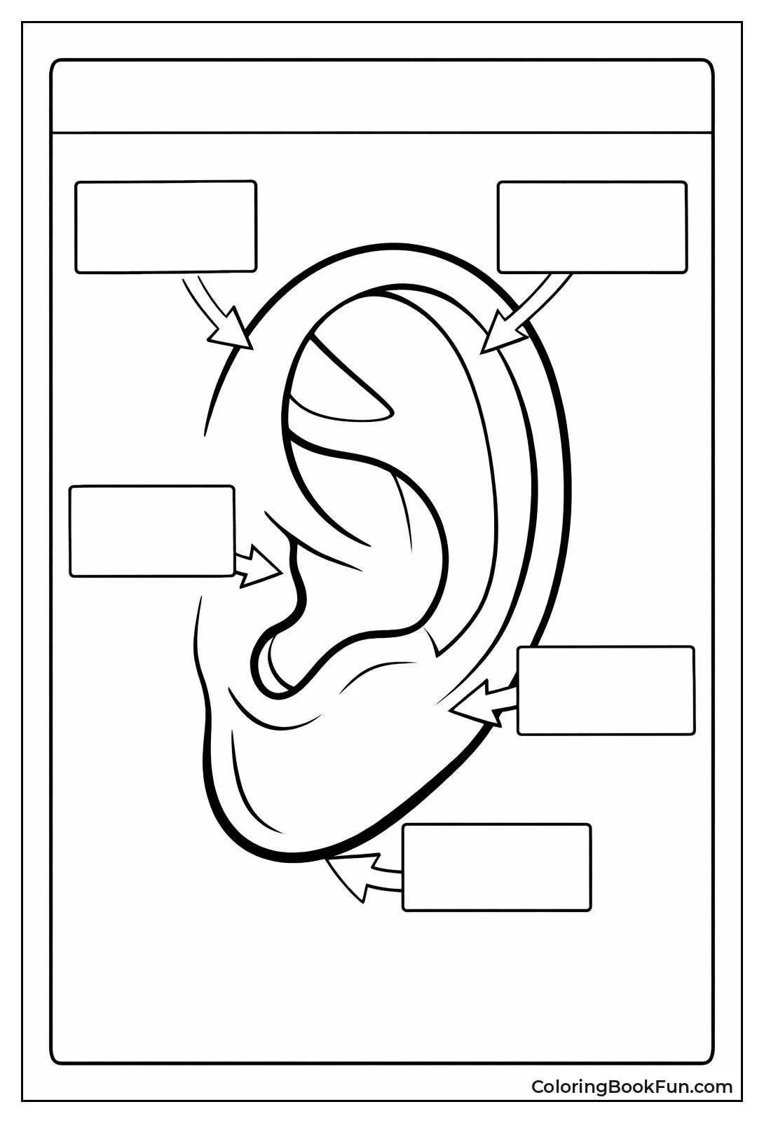 Ear Parts to Label
