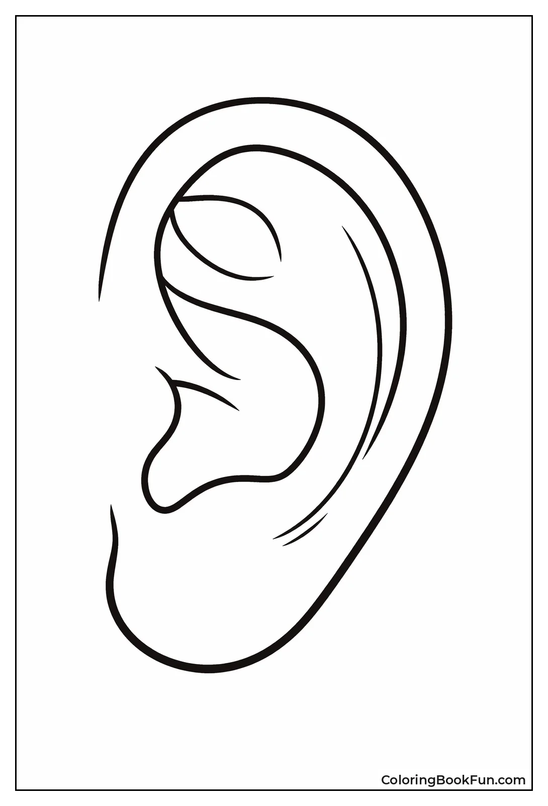 Simple Folded Ear Outline