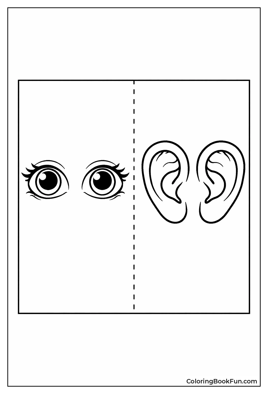 Eyes Ears Side by Side