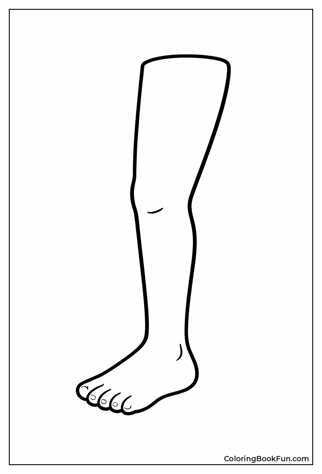 Straight Leg Outline Simple