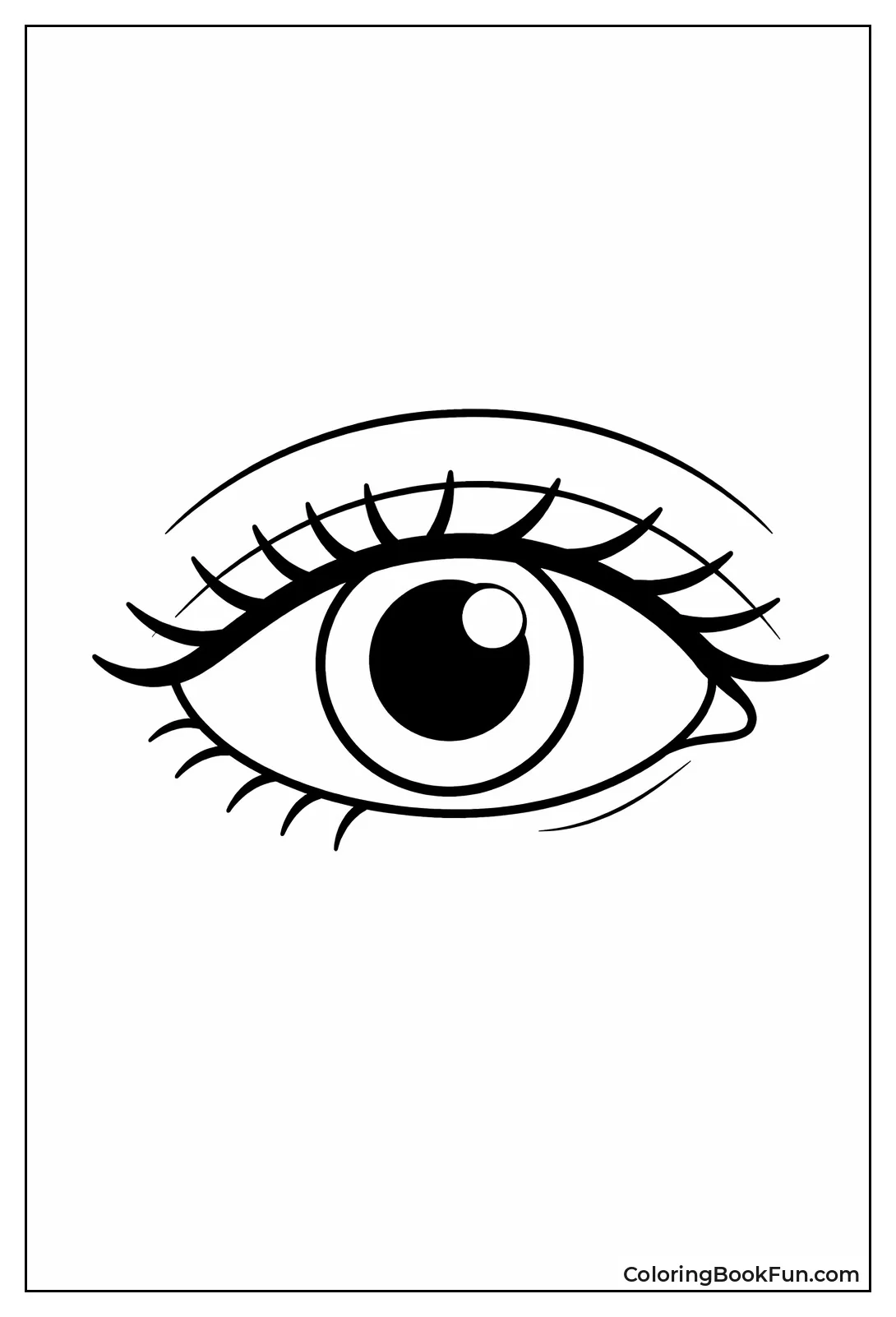 Large Bold Eye Outline