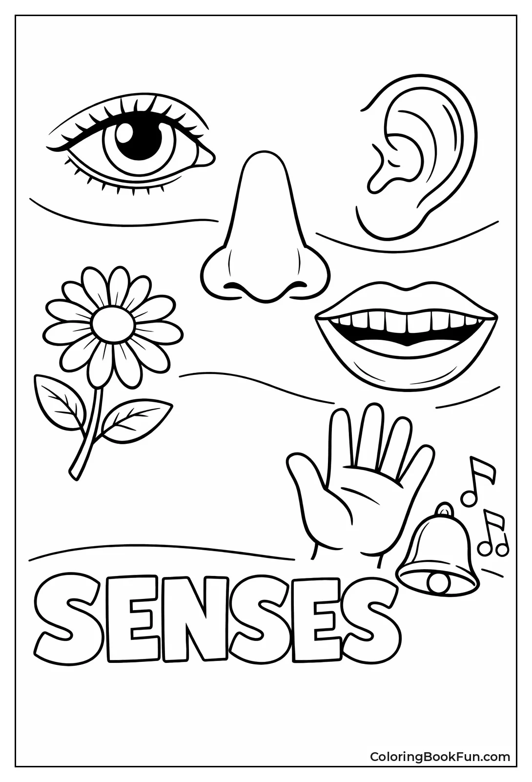 Five Senses Body Collage