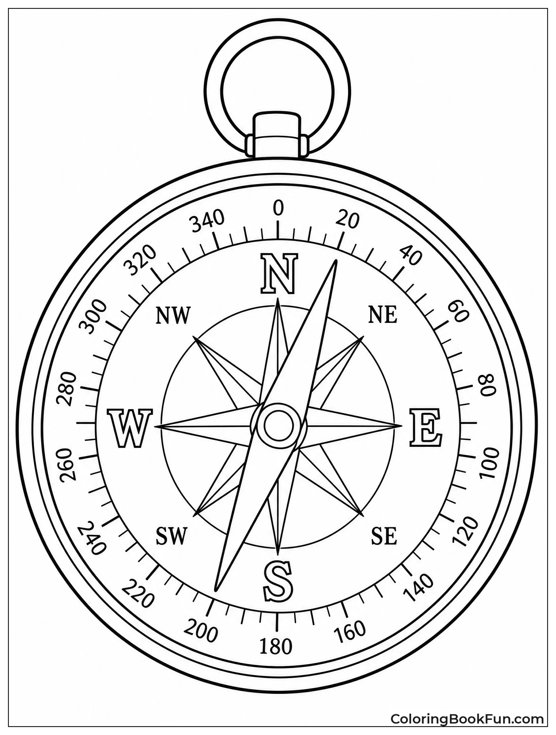 Compass Shows Directions and Needle