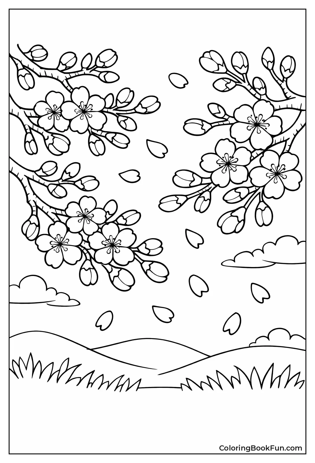 Budding Sakura Branches