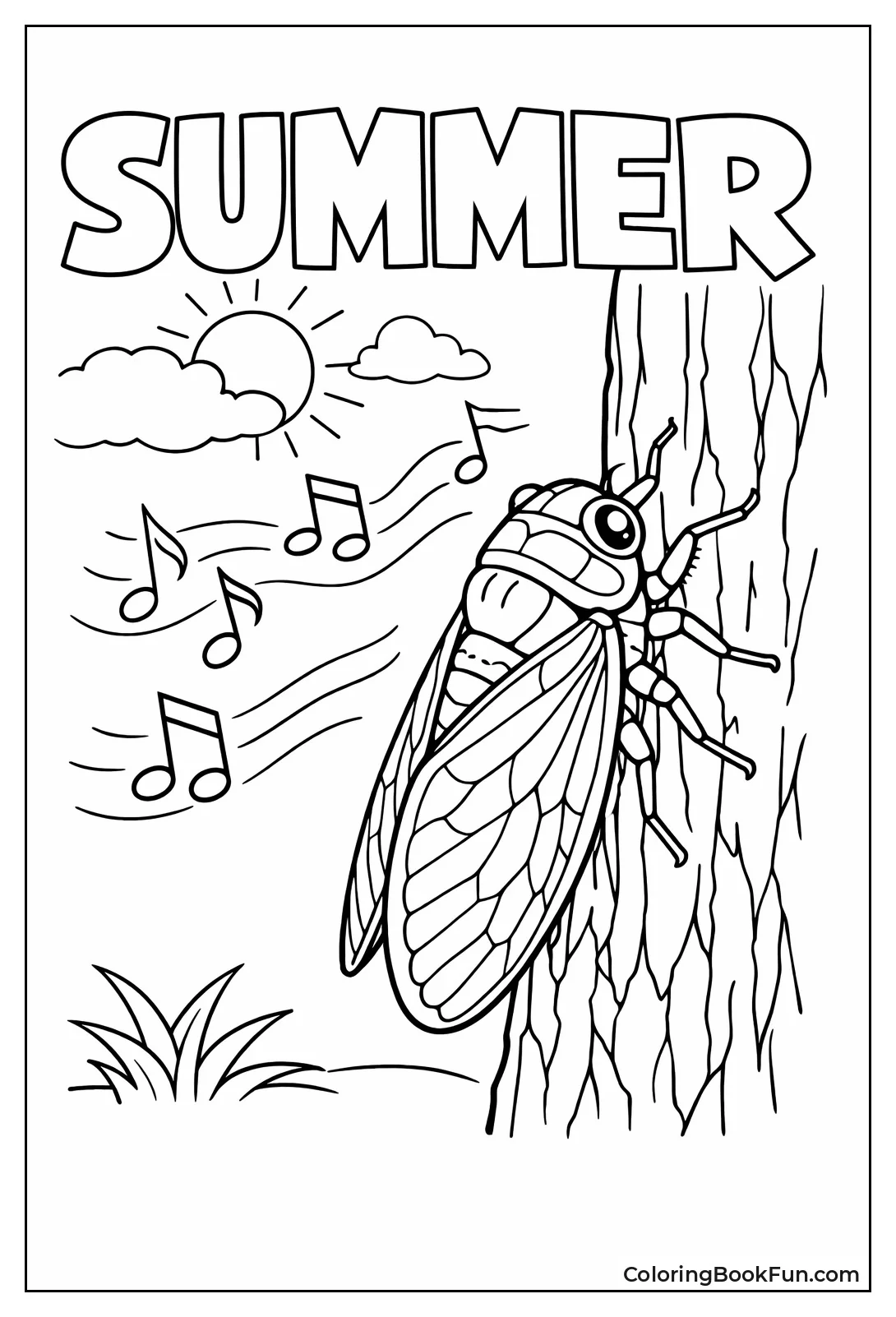 Cicada Singing Song