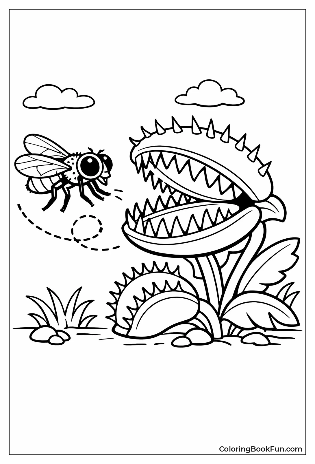 Fly near Venus Flytrap