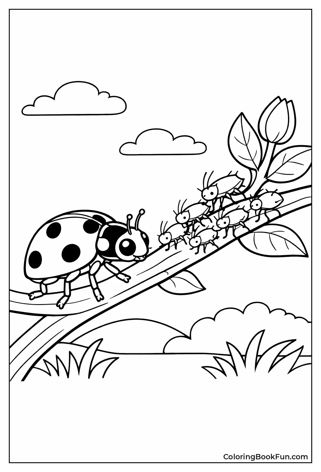 Ladybug Hunting Aphids