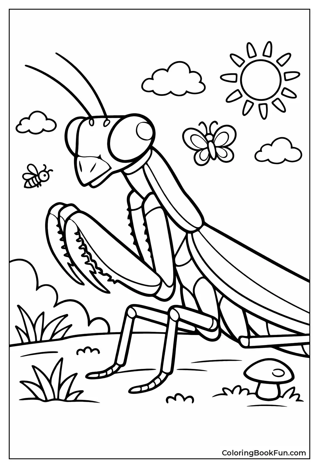 Praying Mantis Portrait