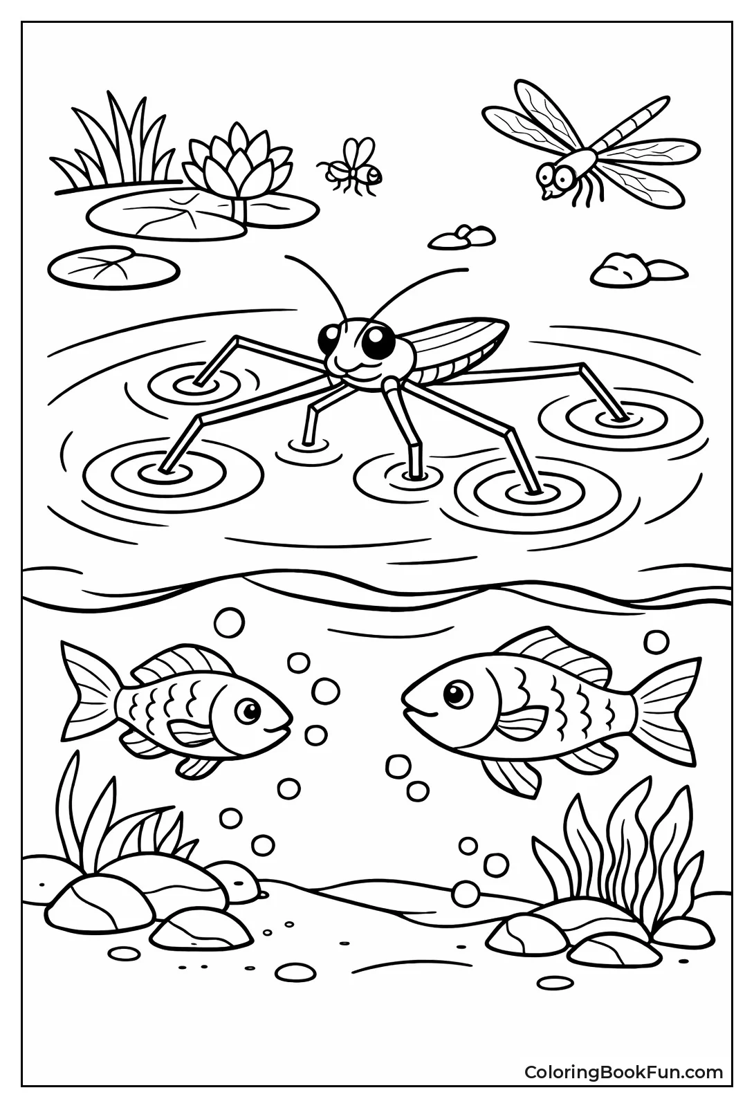 Water Strider on Pond