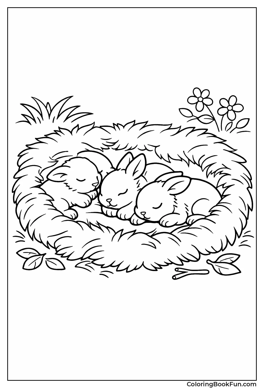 Baby Bunnies in Cozy Nest