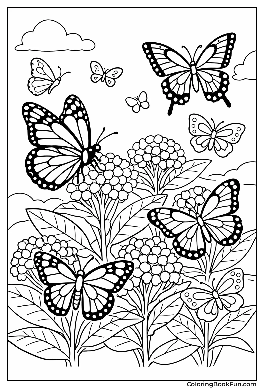 Butterflies Cluster Together