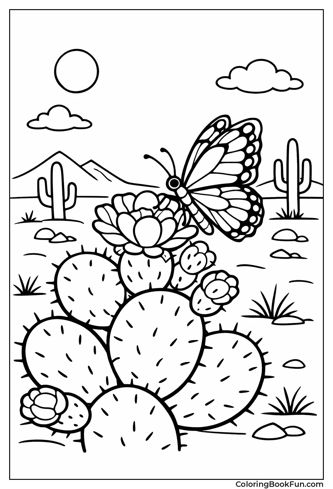 Butterfly on Cactus