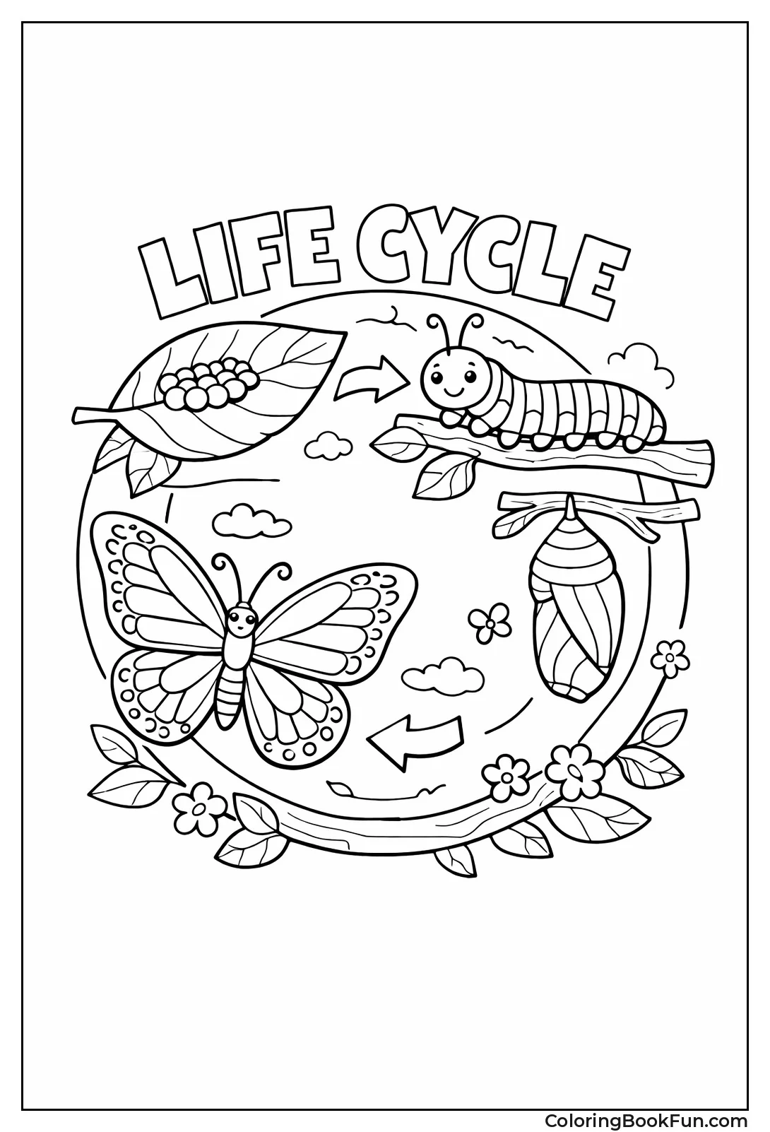 Butterfly Life Cycle Circle