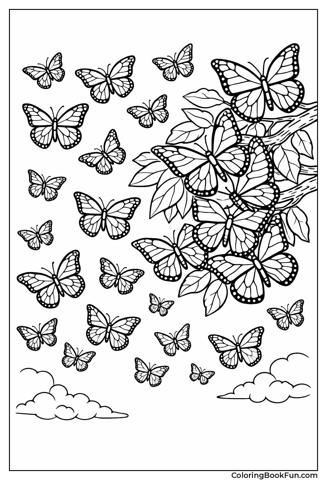 Monarch Butterflies Migrating