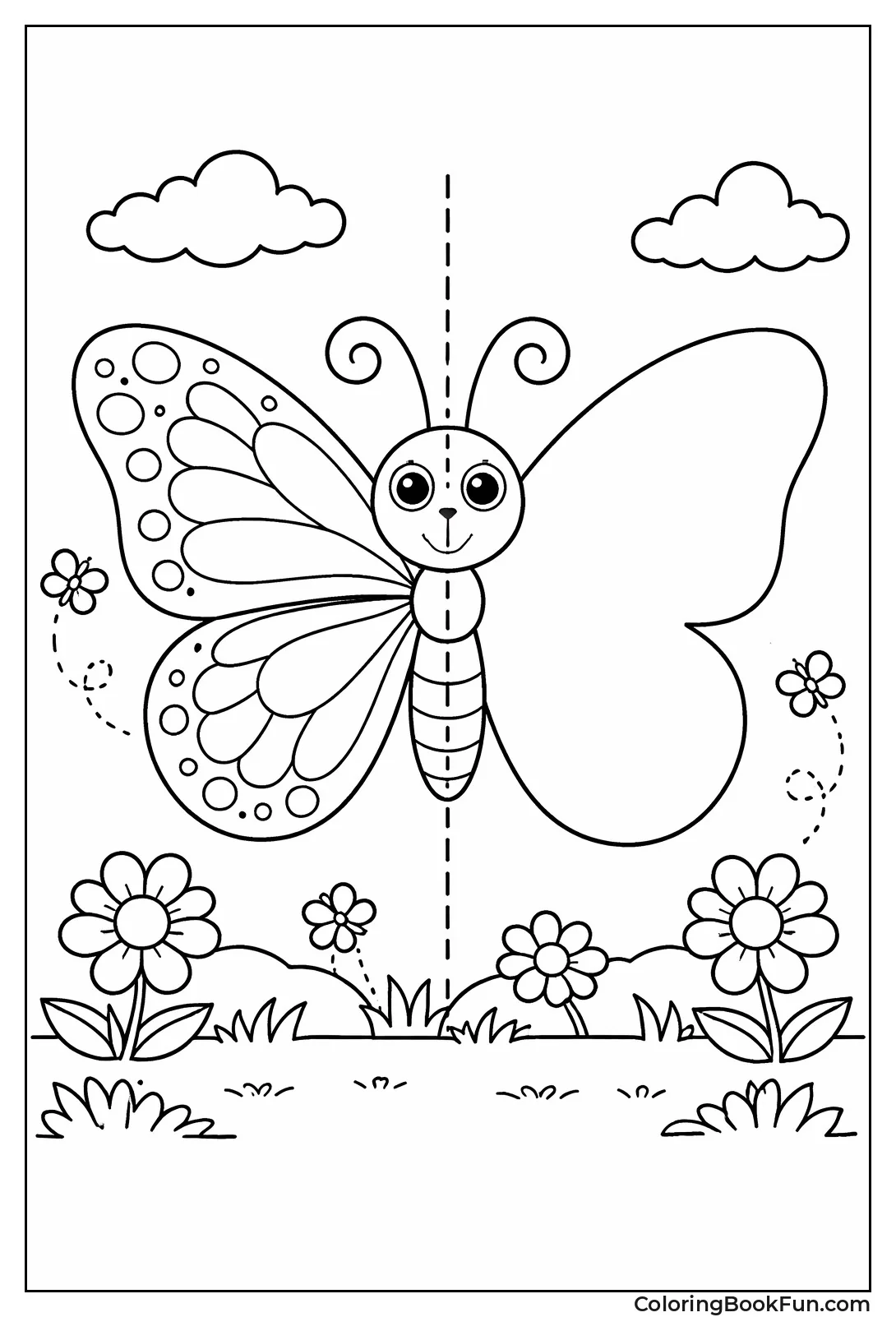 Symmetrical Butterfly Wings