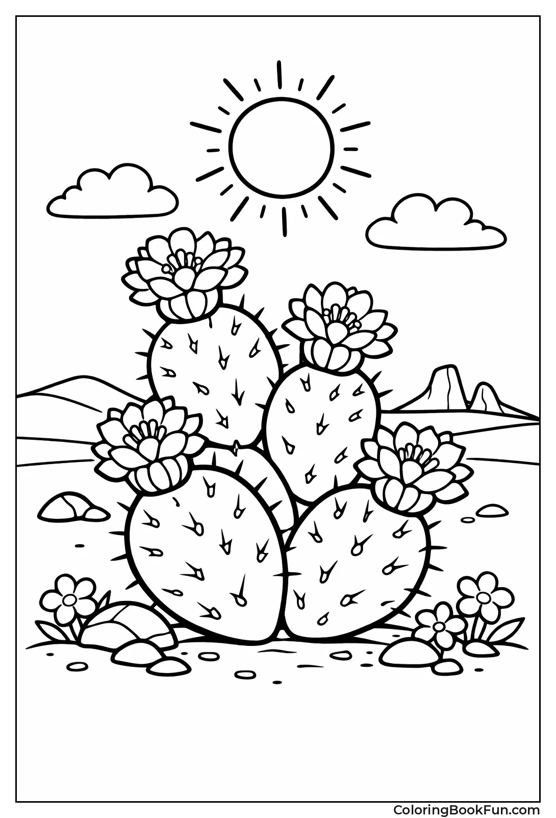 Cactus Bloom in Desert