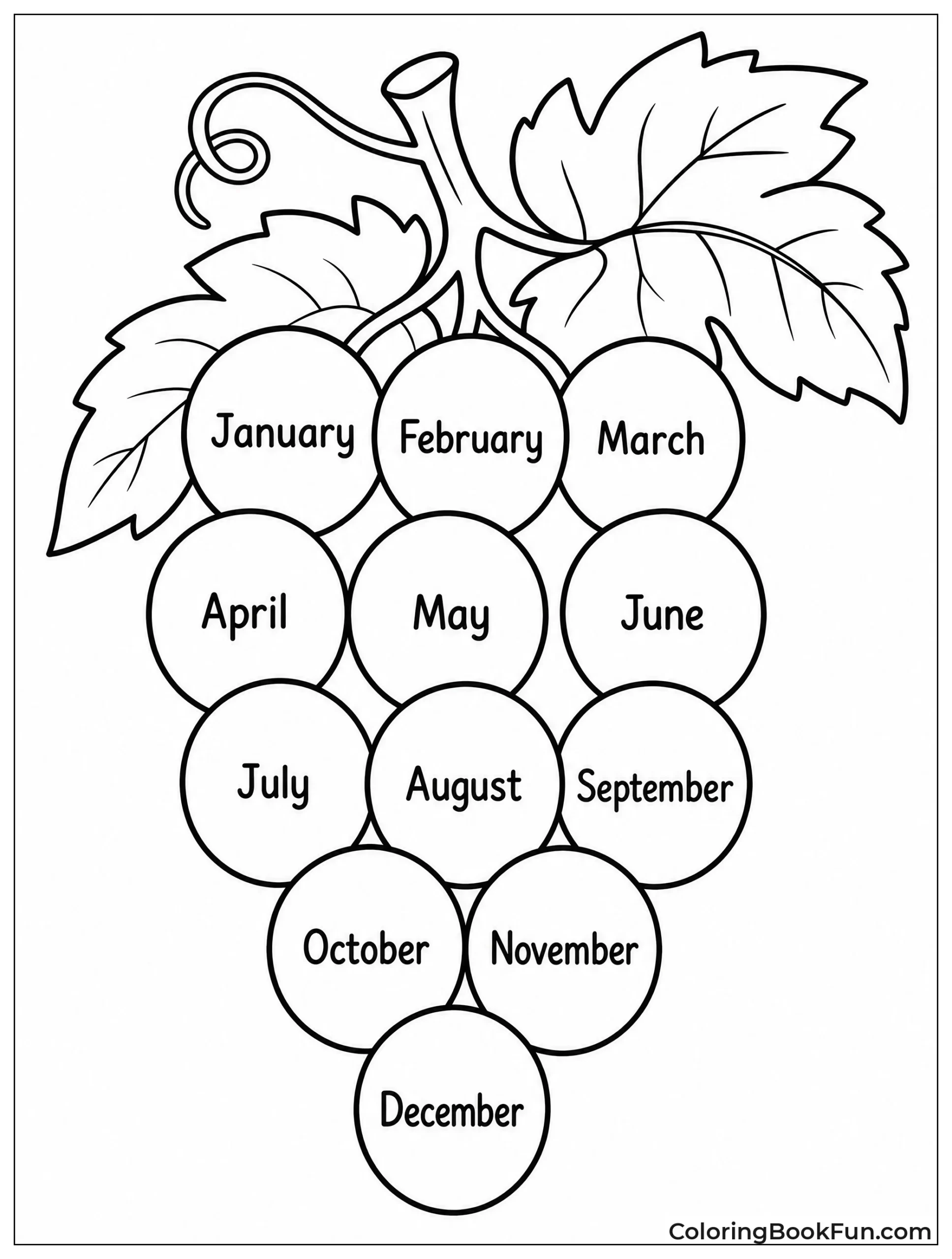 Twelve Grapes Show Twelve Months