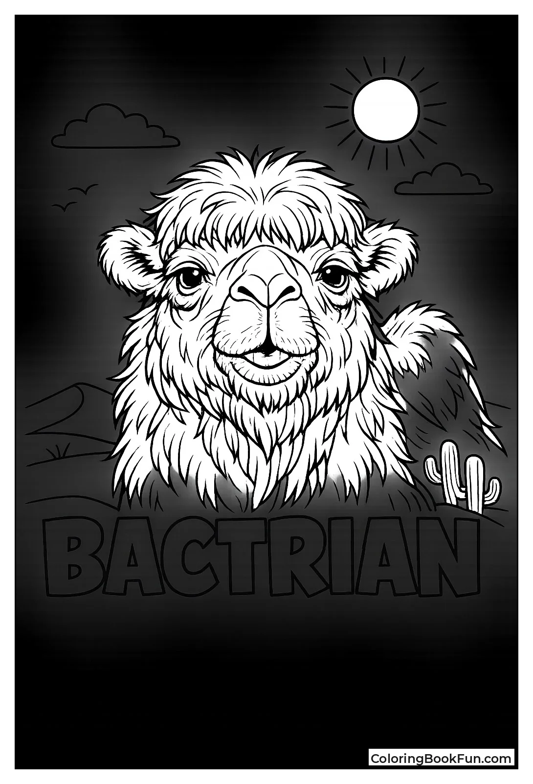 Shaggy Bactrian Camel Head