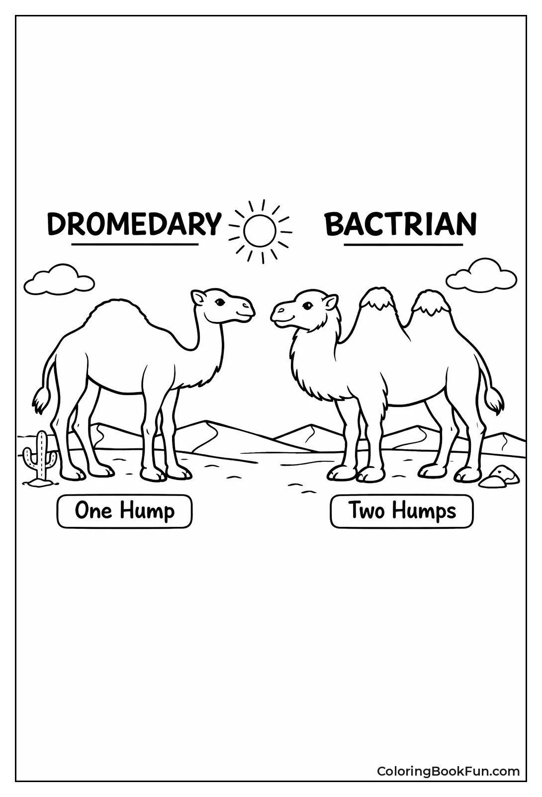 Dromedary and Bactrian Compare