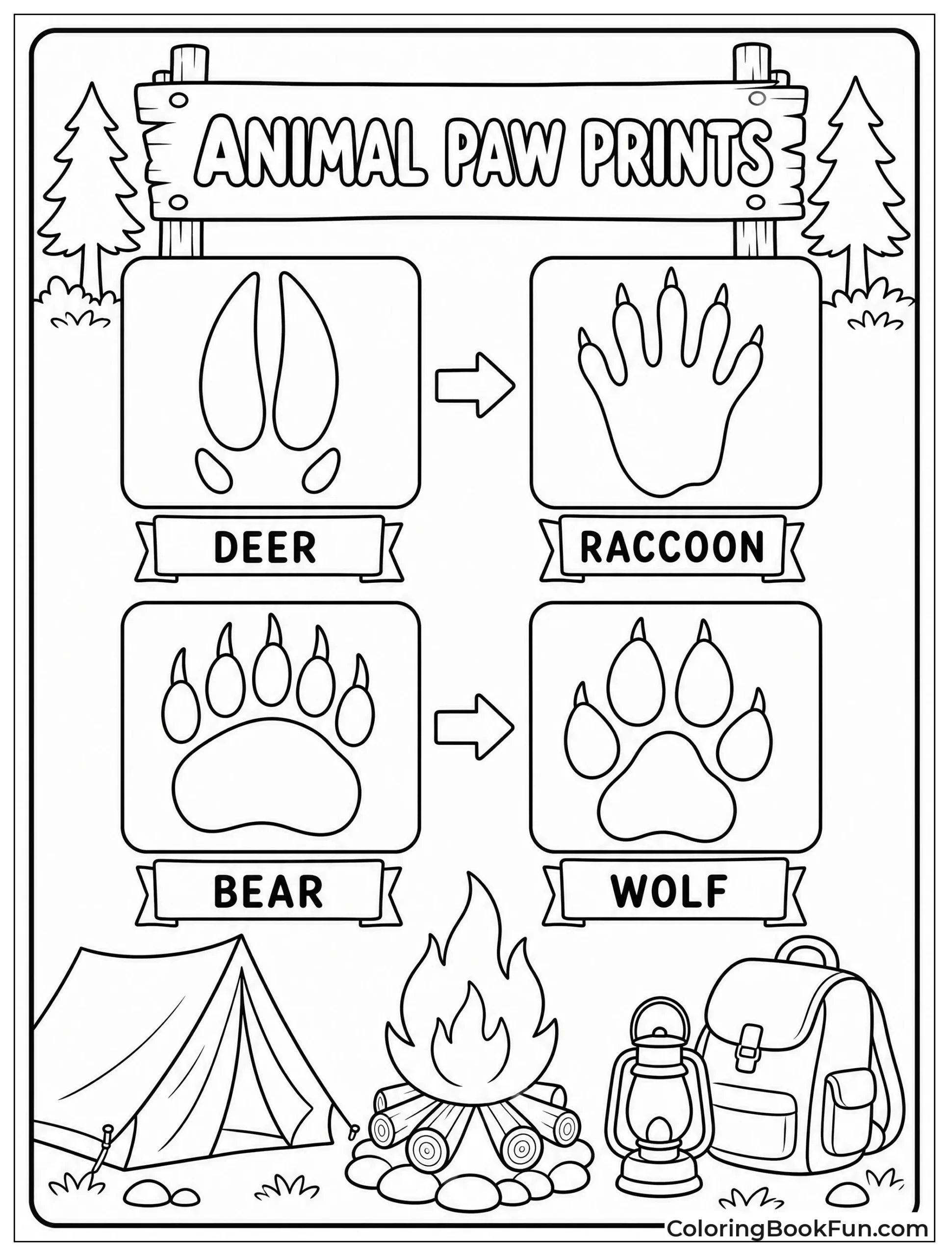 Animal Tracks for Identification