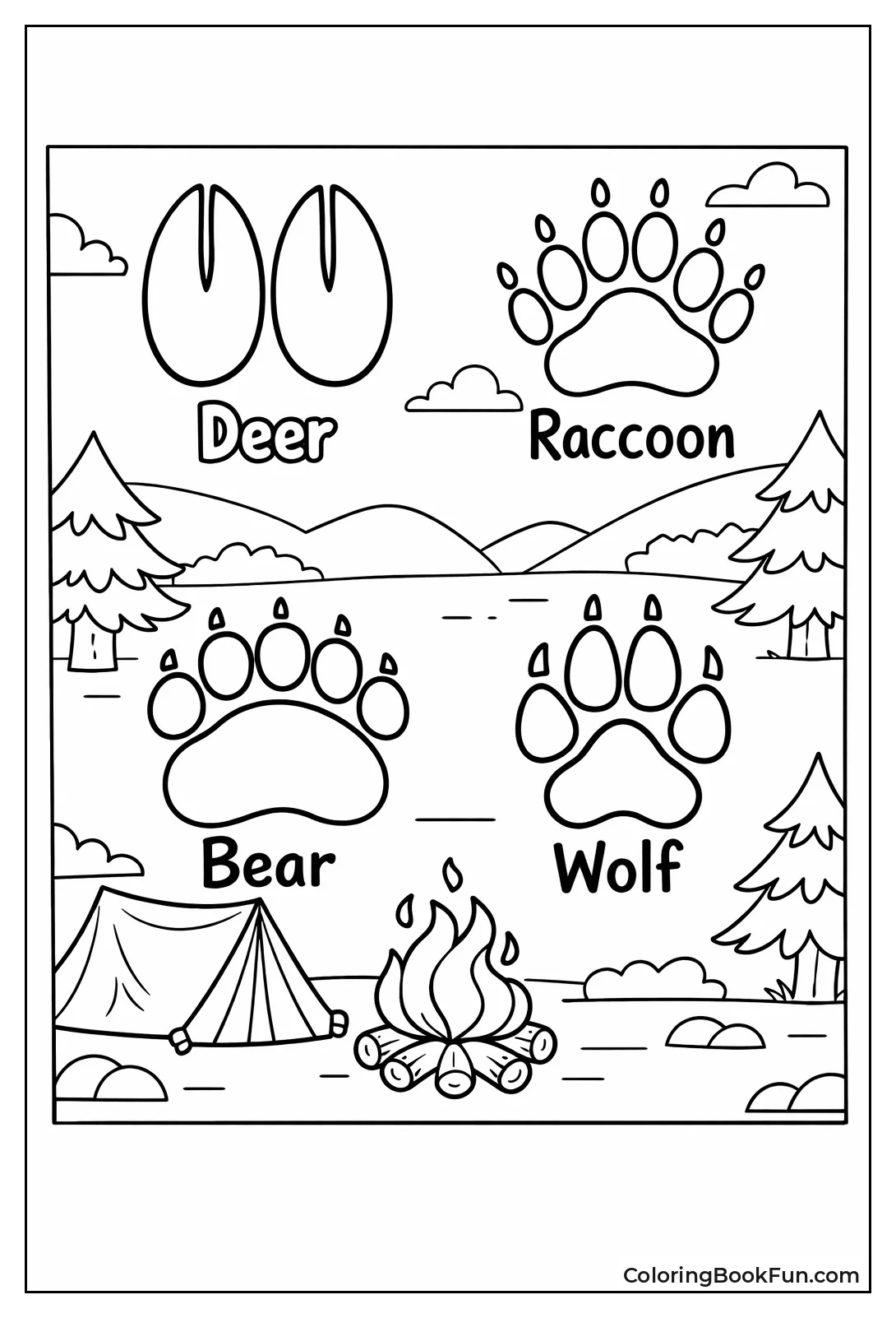 Animal Tracks for Identification