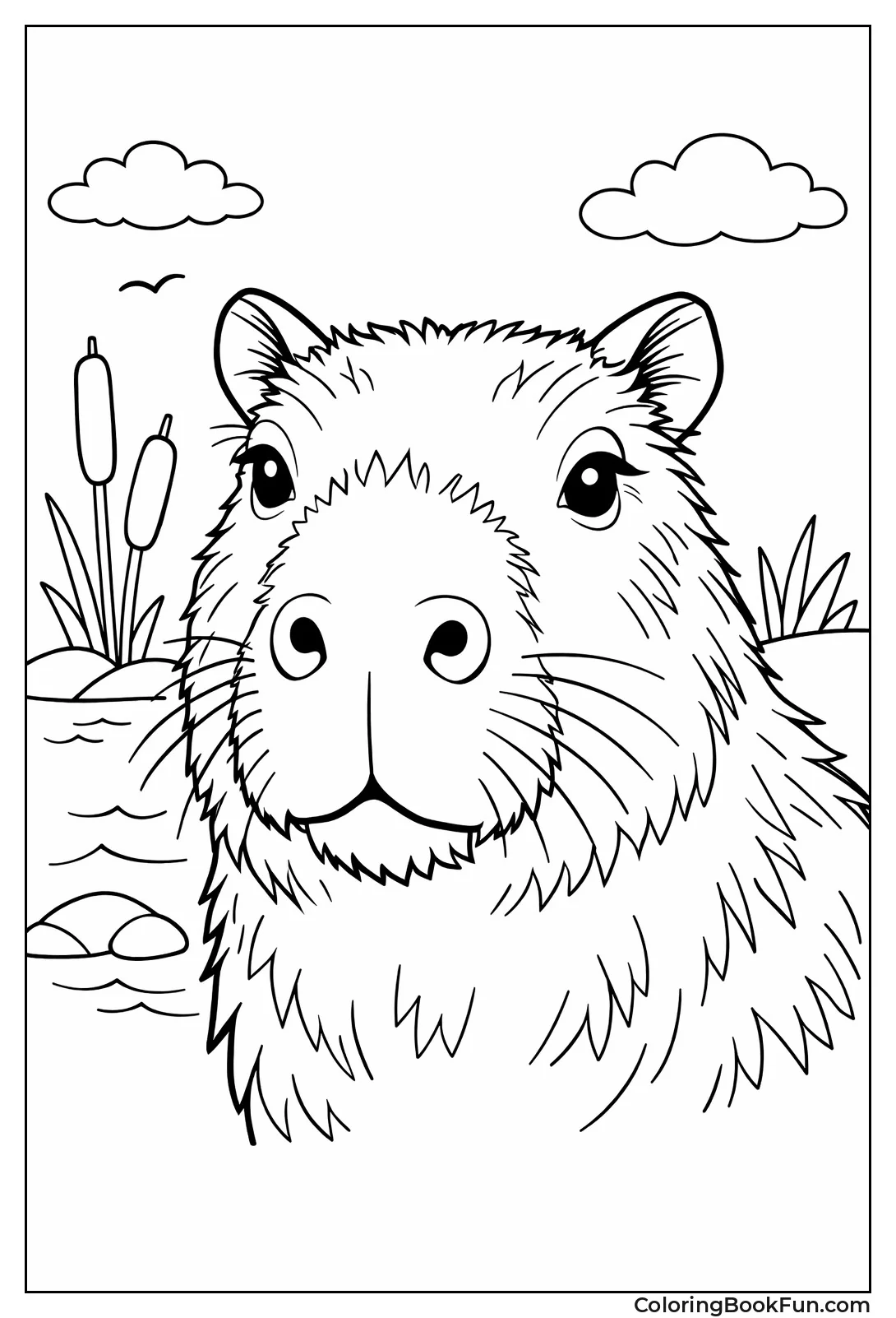 Close-up Capybara Face Portrait
