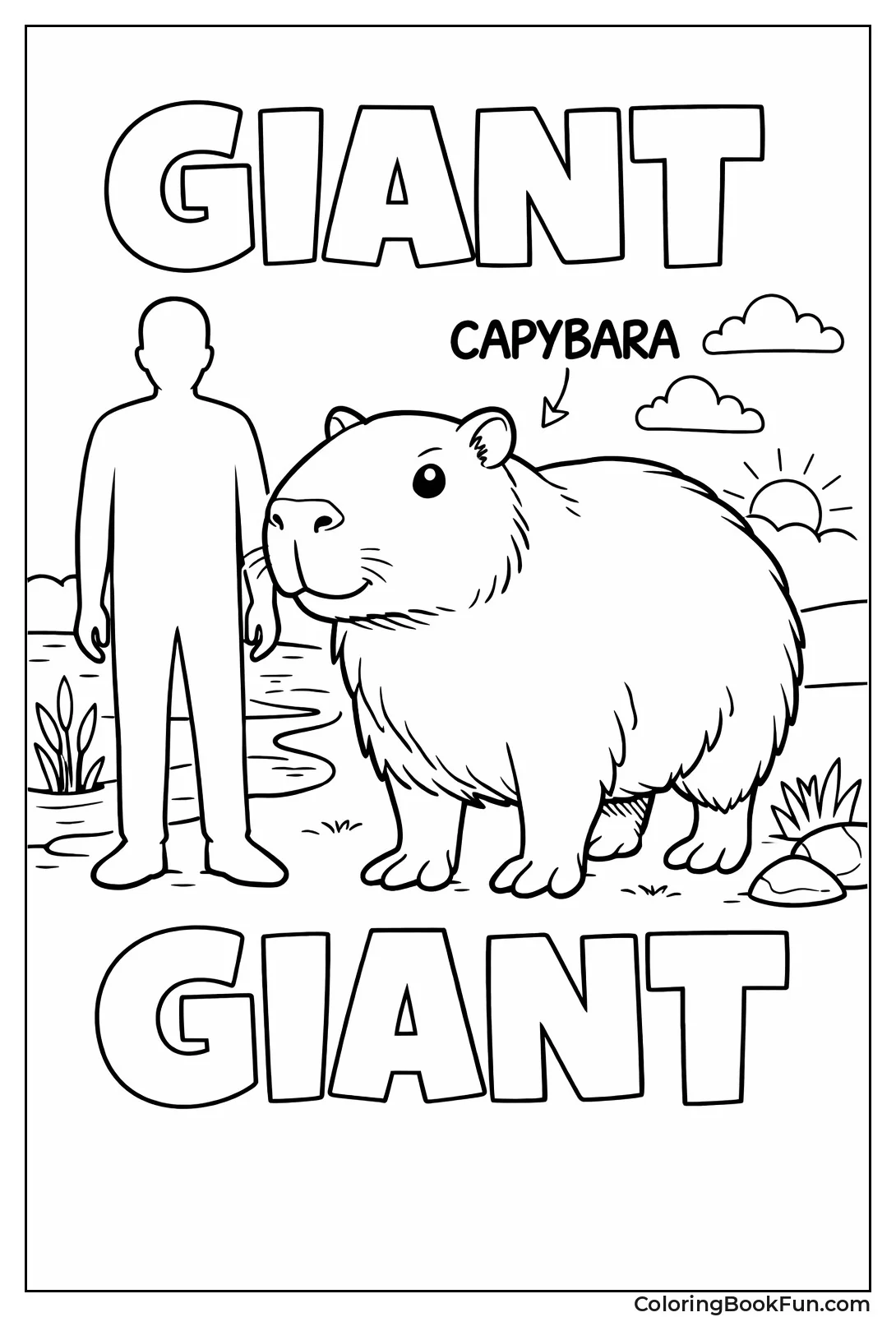 Capybara Next to Human