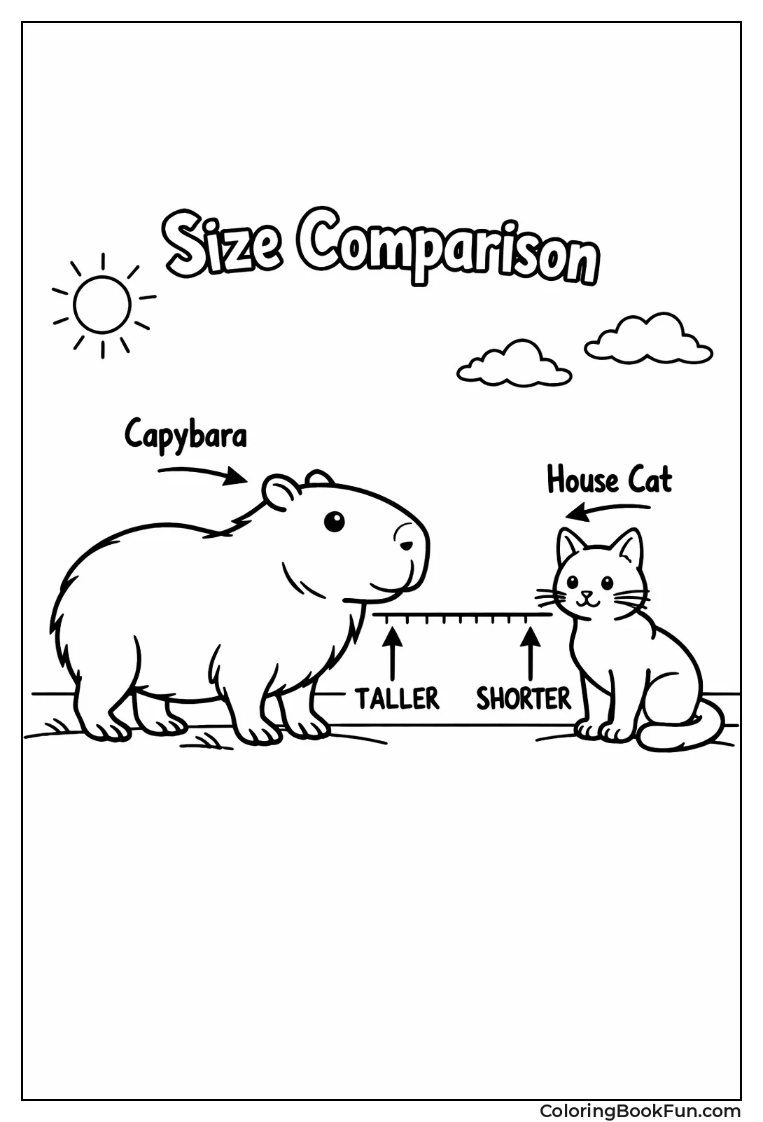 Capybara and House Cat Comparison