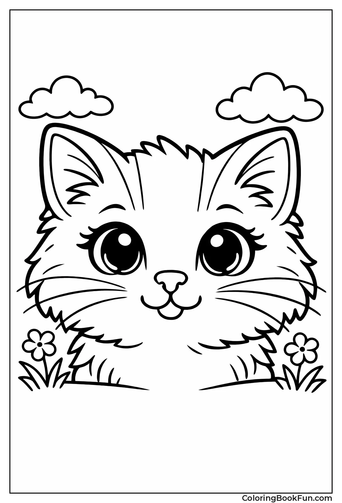 Cat Face with Whiskers