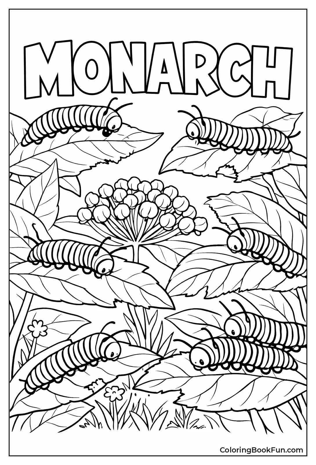 Monarchs Eat Milkweed Leaves