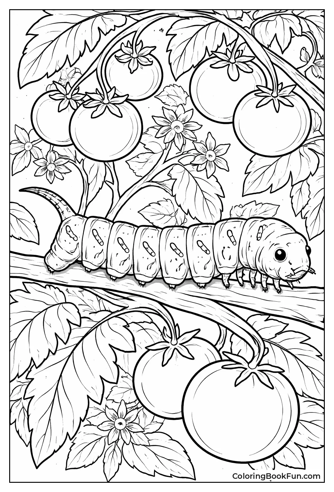 Spiky Hornworm with Tail Horn