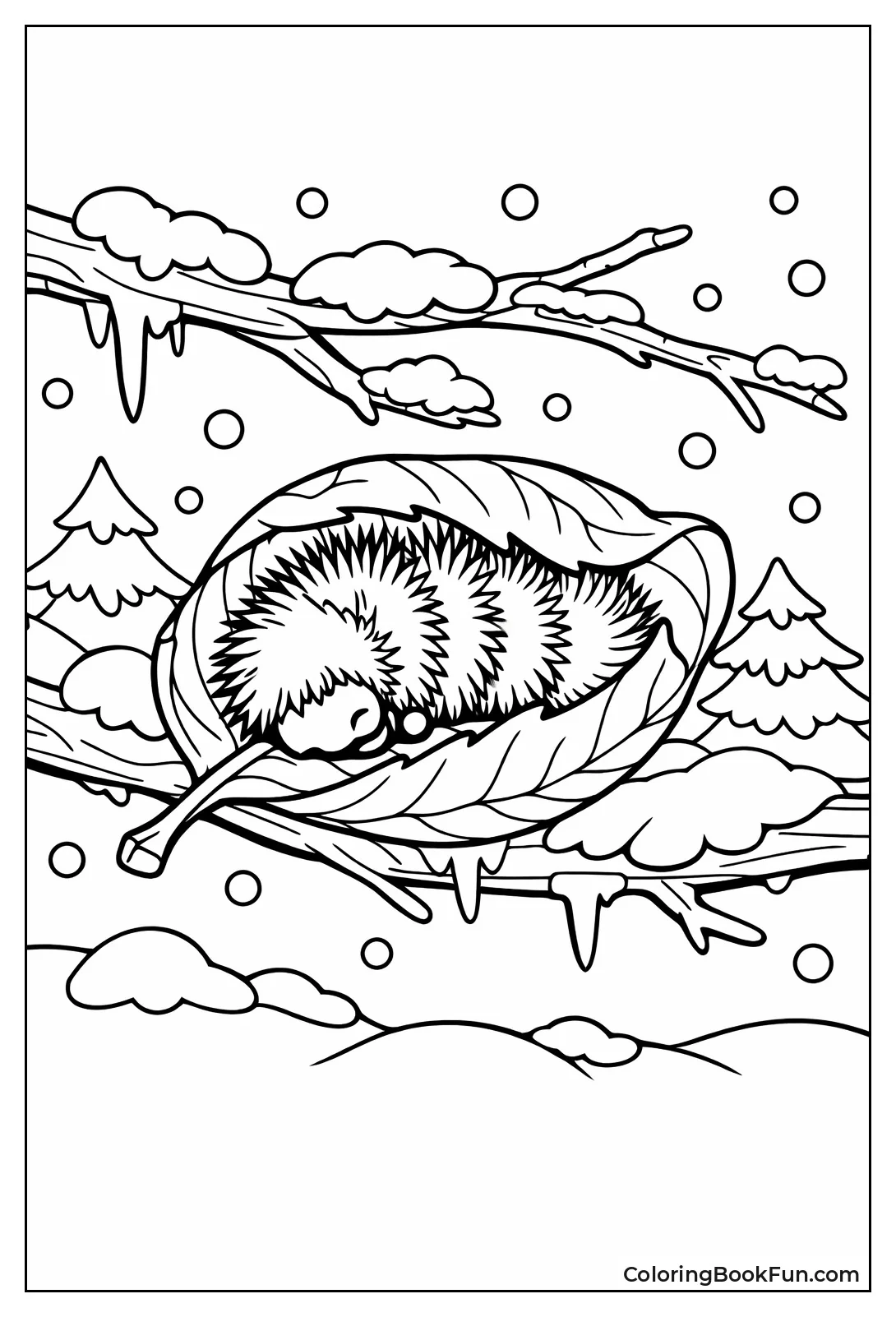 Woolly Caterpillar in Winter Snow