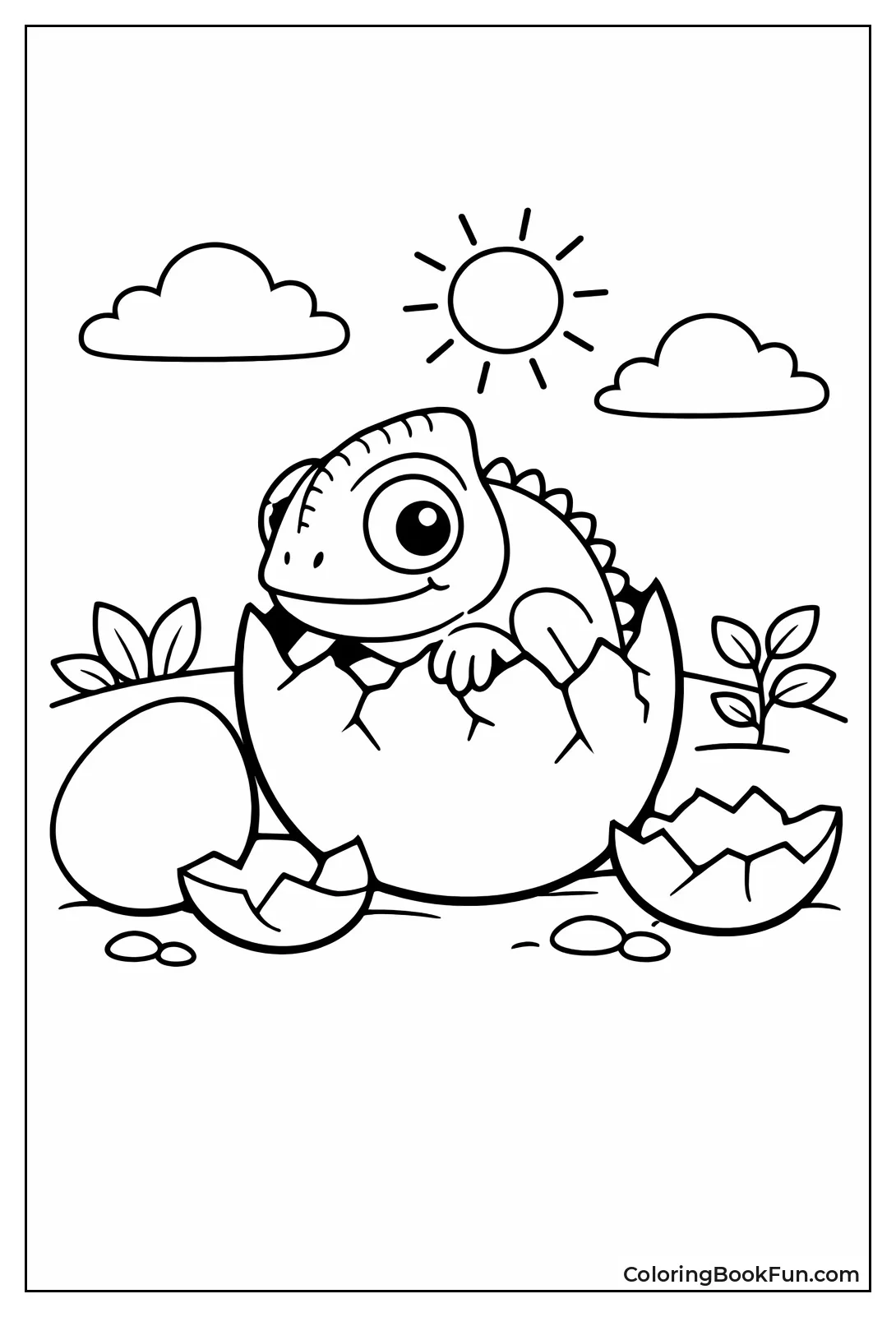 Egg Hatches Baby Chameleon