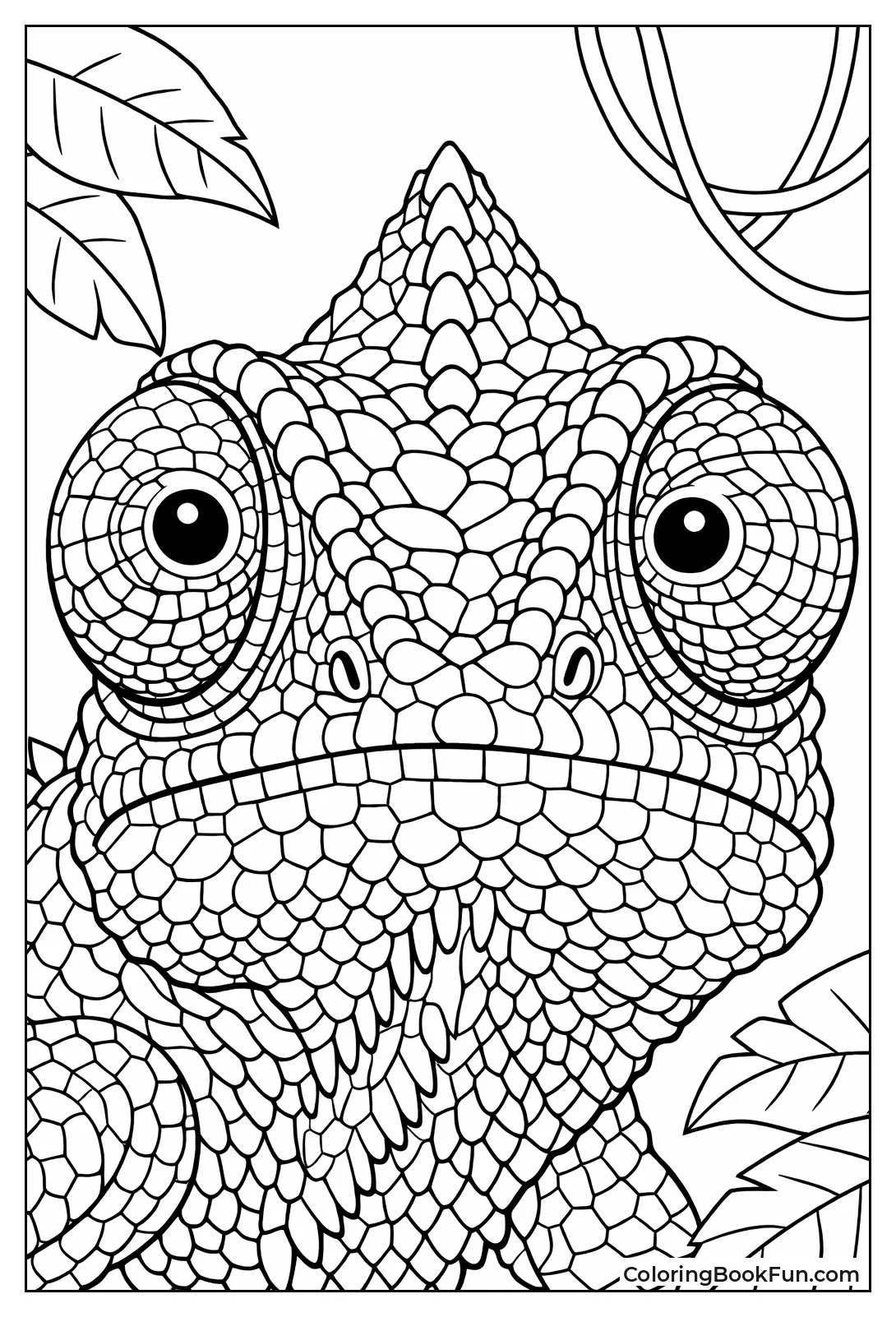 Chameleon Eyes Look Different Ways