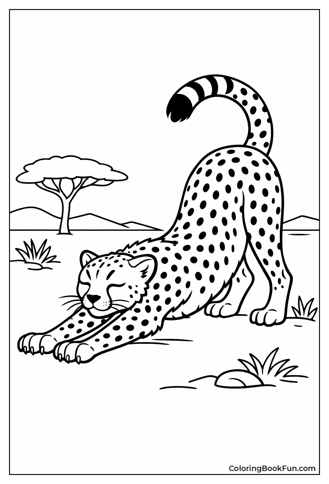 Cheetah Stretching Long