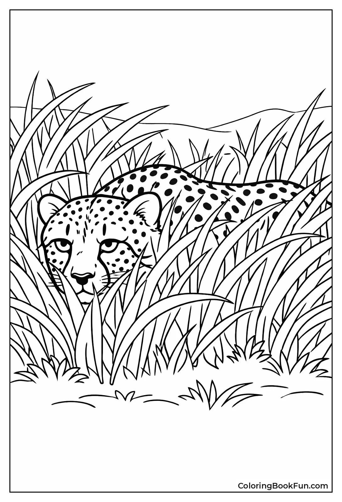Cheetah Hiding in Grass
