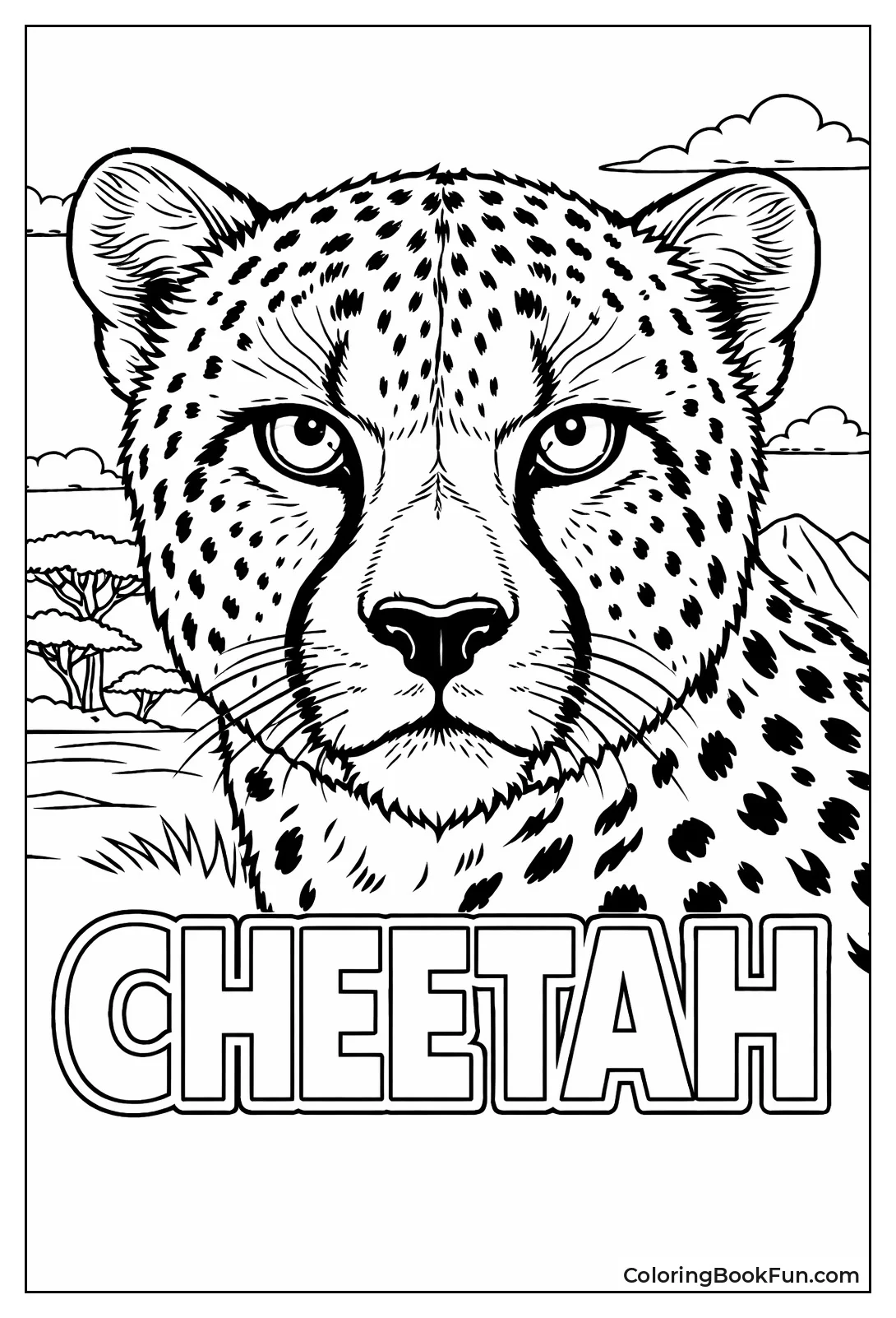 Cheetah Face Close-Up