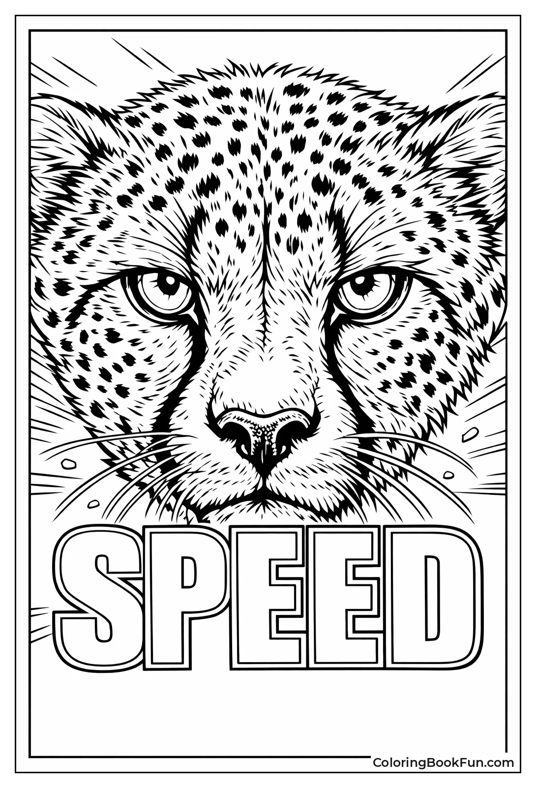 Cheetah Tear Marks Close-Up